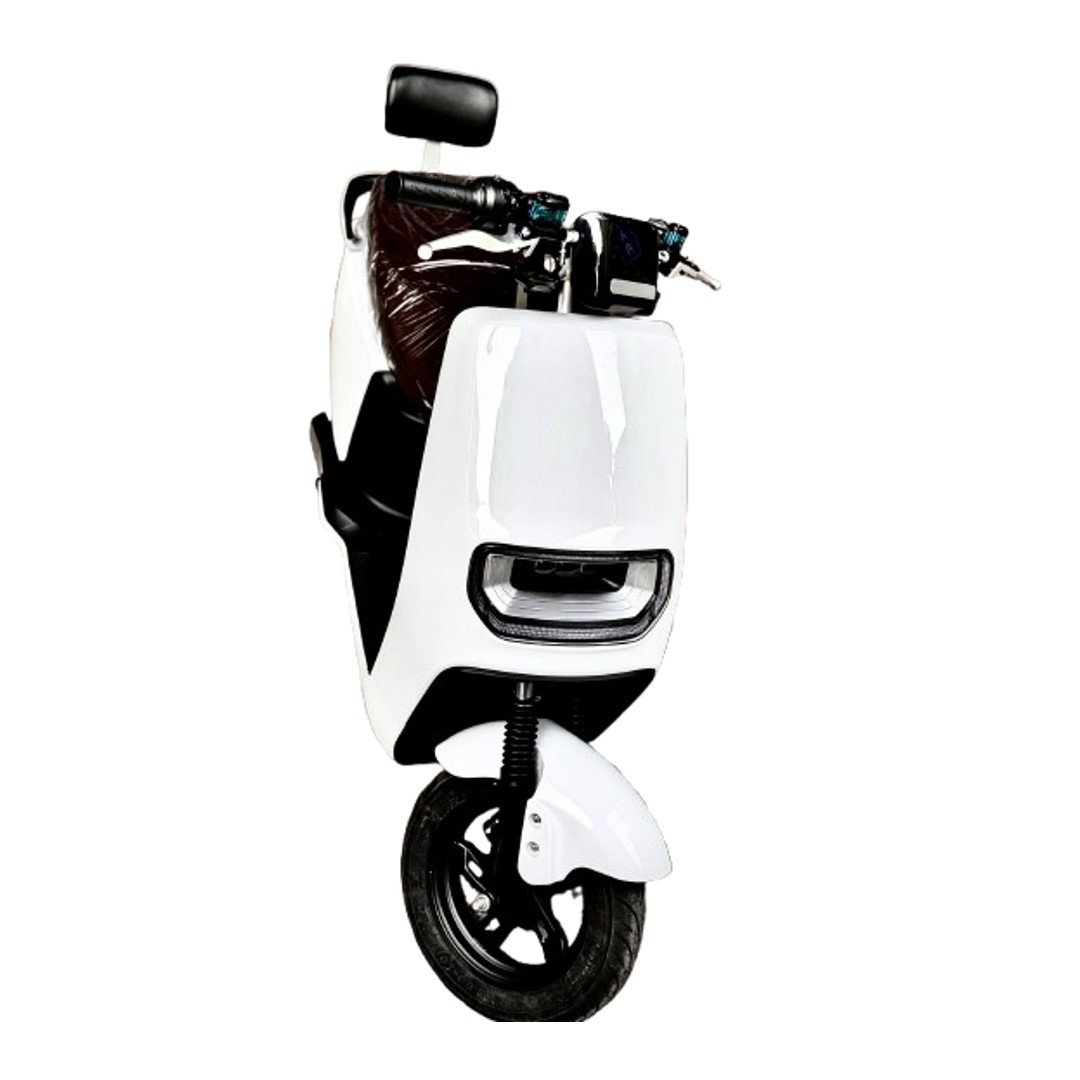 two wheeler electric bike